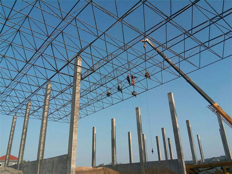 宜州加气站钢结构网架案例10
